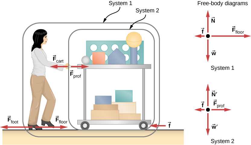 Figure shows a person pushing a cart from left to right. Near the feet of the person are the arrows labeled F subscript foot pointing left and F subscript floor pointing right. An arrow f pointing left is shown near the wheel of the cart. The arrows F subscript prof pointing right and F subscript cart pointing left are shown near her hands. The cart is circled and labeled system 2. The cart and person are circled together and this is labeled system 1. Two free body diagrams are shown. The first, of system 1 has F subscript floor pointing right, N pointing up, f pointing left and w pointing down. The second diagram, of system 2, has F subscript prof pointing right, N prime pointing up, f pointing left and w prime pointing down.
