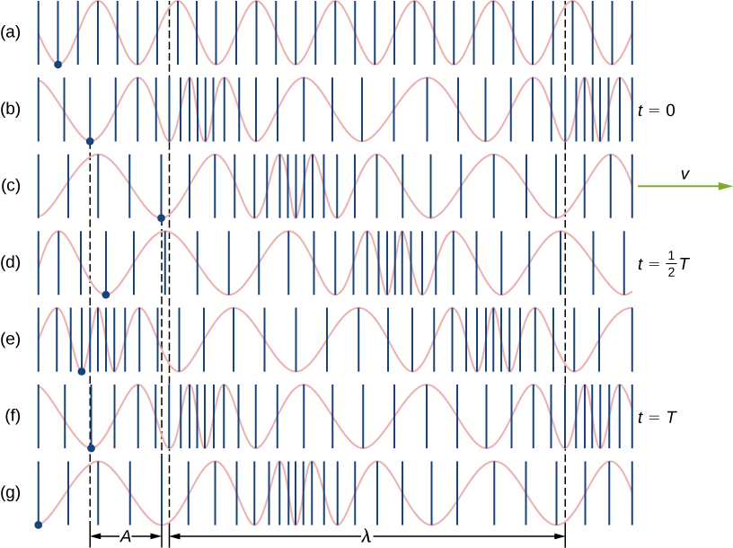 Figures a through g show different stages of a longitudinal wave passing through a spring. A blue dot marks a point on the spring. This moves from left to right as the wave propagates towards the right. In figure b at time t=0, the dot is to the right of the equilibrium position. In figure d, at time t equal to half T, the dot is to the left of the equilibrium position. In figure f, at time t=T, the dot is again to the right. The distance between the equilibrium position and the extreme left or right position of the dot is the same and is labeled A. The distance between two identical parts of the wave is labeled lambda.