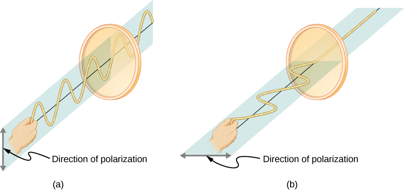 Figure a shows waves on a vertically oscillating rope that pass through a vertical slit. The vertical oscillation is the direction of polarization. Figure b shows waves on a horizontally oscillating rope that do not pass through a similar vertical slit. The horizontal oscillation is the direction of polarization.