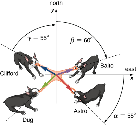 Illustration of 4 dogs pulling on a toy. The toy is at the origin of a coordinate system, with plus x aligned with east and plus y with north. Ang is pulling at an angle alpha which is 55 degrees clockwise from the plus x (east) direction. Bing is pulling at an angle beta which is 60 degrees clockwise from the plus y (north) direction. Chang is pulling at an angle gamma which is 55 degrees counterclockwise from the plus y (north) direction. Dong is pulling in an unspecified direction in the third quadrant.