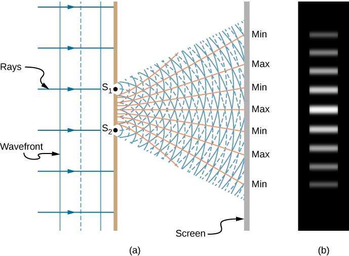 Left picture is a schematic drawing of the double-slit experiment. Monochromatic light enters the two slits S1 and S2. Light spreads out after travelling through the slits with the waves overlapping constructively and destructively. Right picture is a photograph of the fringe pattern that shows the bright spots aligned as a line.