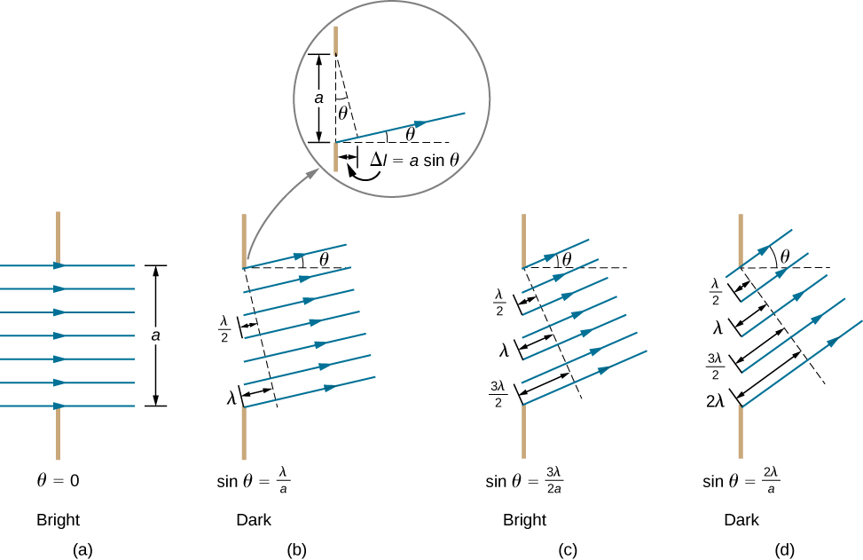 Figure a shows horizontal rays passing from left to right through a vertical slit of length a. This is labeled theta equal to zero, bright. Figure b shows rays passing through the slit at an angle theta to the horizontal. This is labeled sine theta equal to lambda by a, dark. A dotted line perpendicular to the rays touches the top of the slit. Its perpendicular distance from the bottom of the slit is lambda and that from the center of the slit is lambda by 2. A separate view shows the dotted line being at an angle theta to the vertical. It intersects the ray starting from the bottom of the slit at a particular point. The horizontal distance of this point from the slit is delta l equal to a sine theta. Figure c shows rays passing through the slit at an angle theta to the horizontal. This is labeled sine theta equal to 3 lambda by 2 a, bright. A dotted line perpendicular to the rays touches the top of the slit. Its perpendicular distance from the bottom of the slit is 3 lambda by 2. Figure d shows rays passing through the slit at an angle theta to the horizontal. This is labeled sine theta equal to 2 lambda by a, dark. A dotted line perpendicular to the rays touches the top of the slit. Its perpendicular distance from the bottom of the slit is 2 lambda.